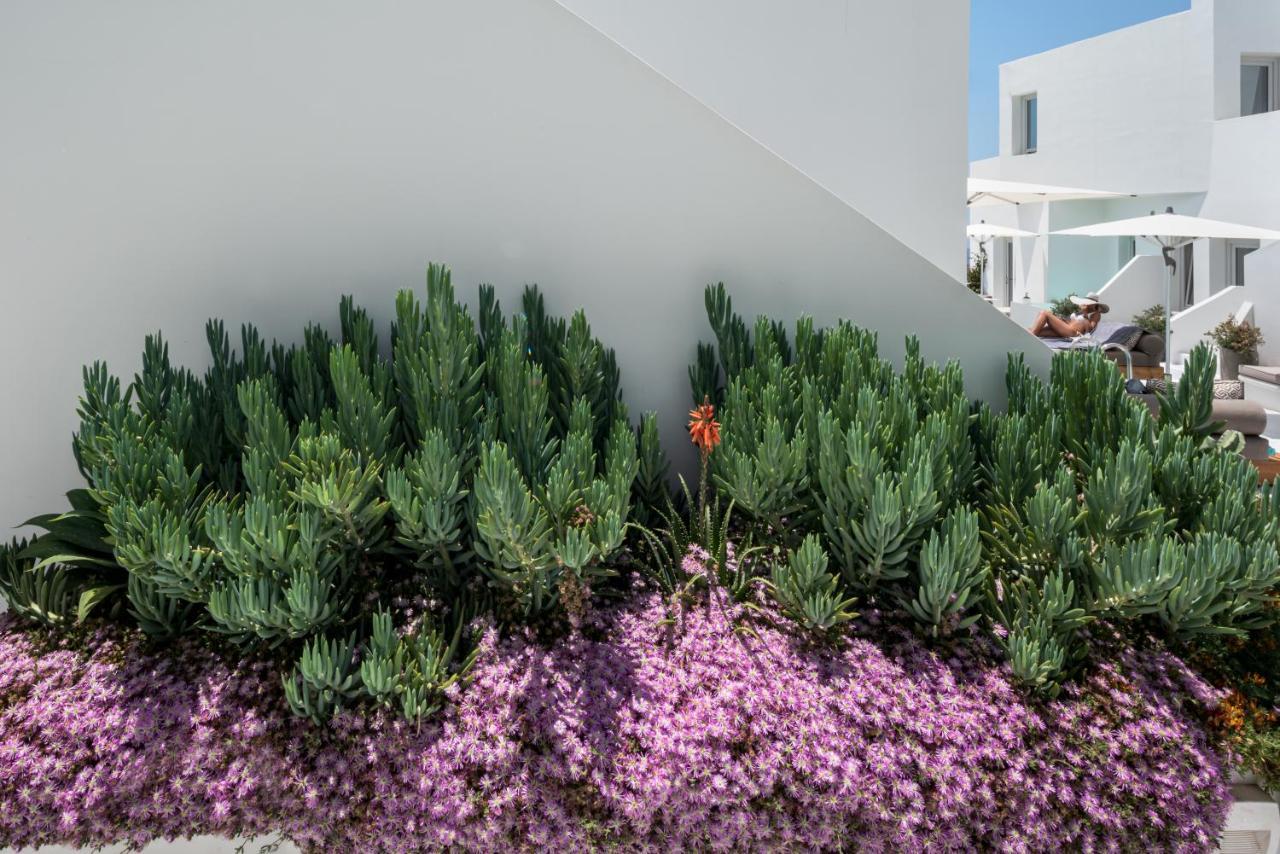 Akra Suites & Spa Imerovigli  Exteriér fotografie